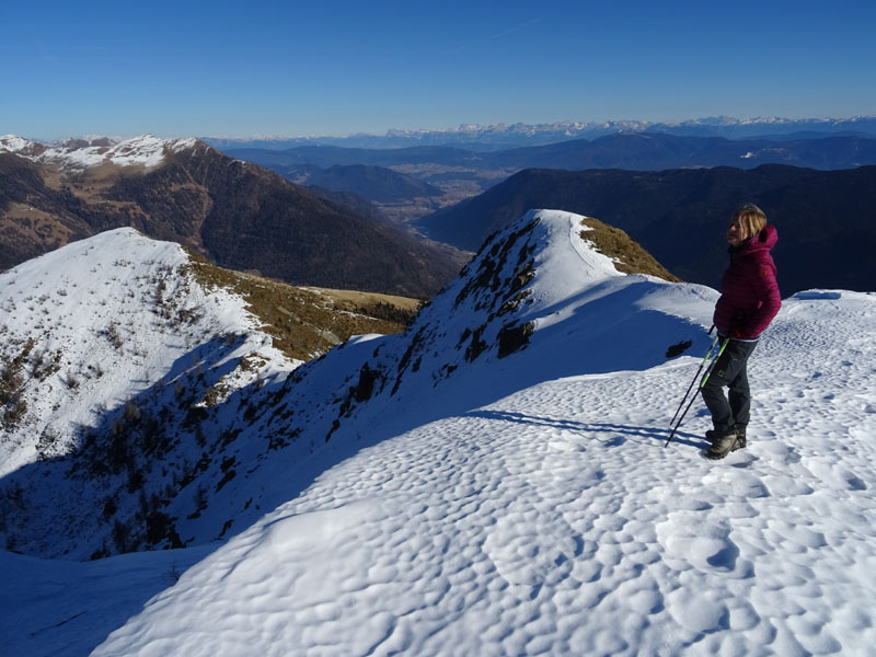 Cimon di Bolentina m. 2287 - Piz di Montes m. 2368